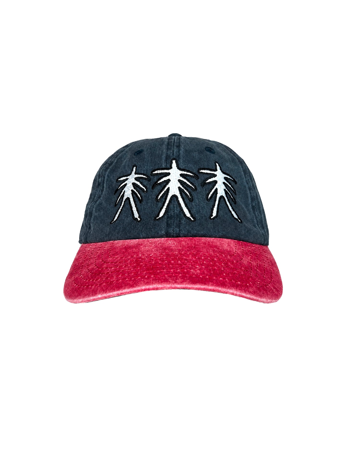Logo Hat (Navy/Red)