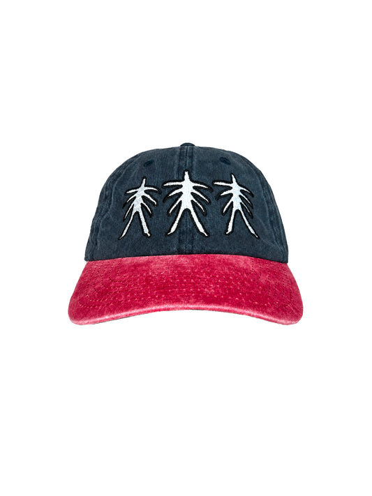 Logo Hat (Navy/Red)