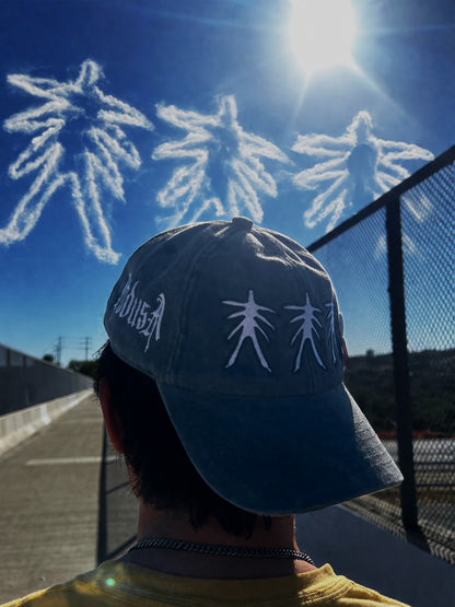 Logo Hat (Black)